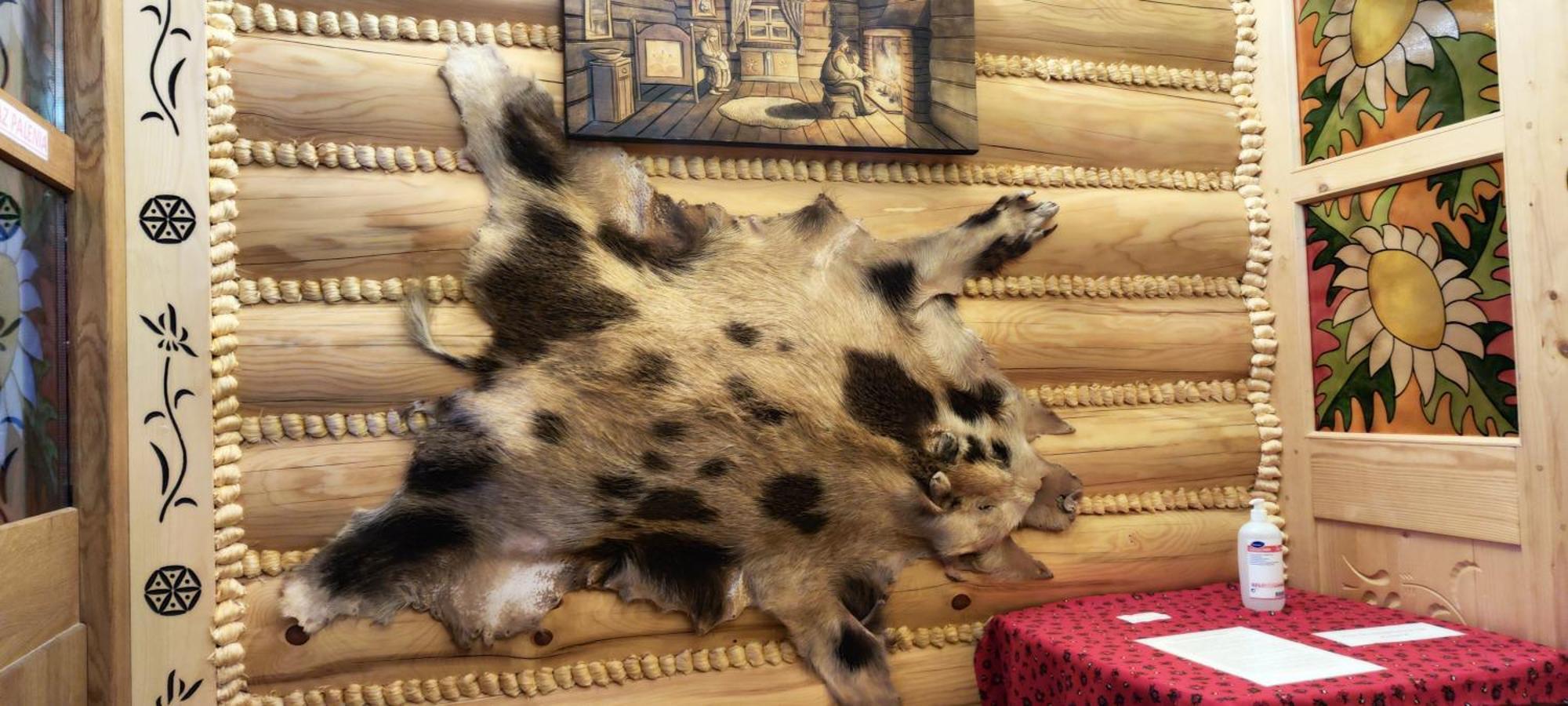Chata Goralska I Pokoje Goscinne Ciechocinek Exteriér fotografie